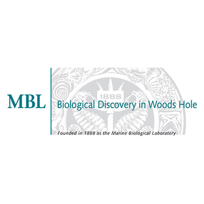 University of Chicago MBL-UChicago